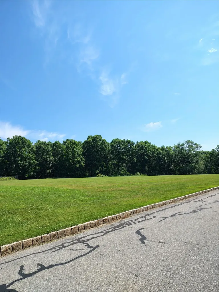 Victoria Drive Blooming Grove NY 10914