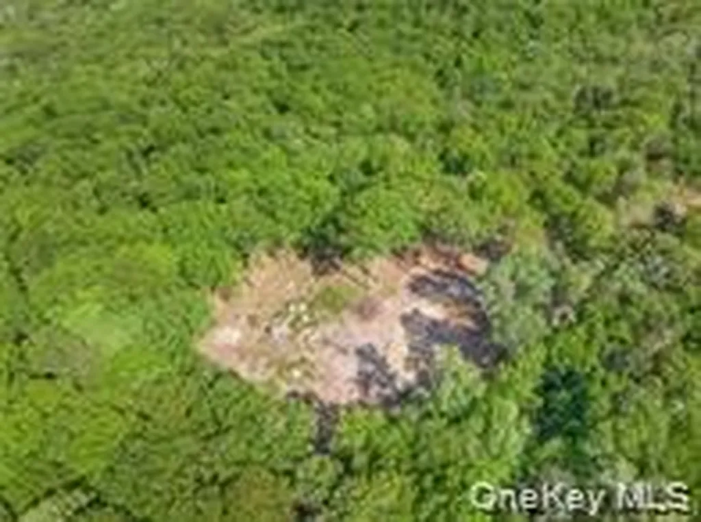 0 S White Rock Road Holmes NY 12564