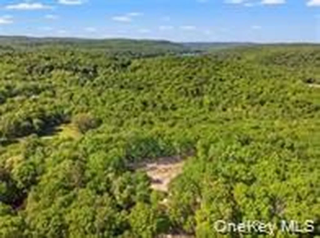 0 S White Rock Road Holmes NY 12564