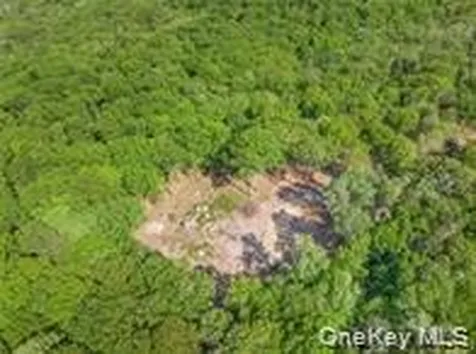 Lot 5 S White Rock Road Holmes NY 12564
