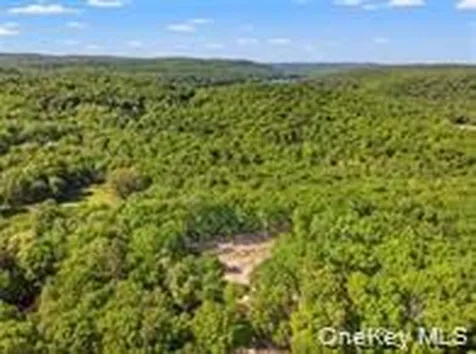 Lot 5 S White Rock Road Holmes NY 12564