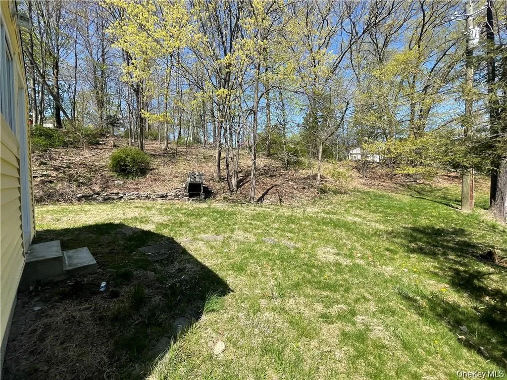19 Lake Avenue Monroe NY 10950