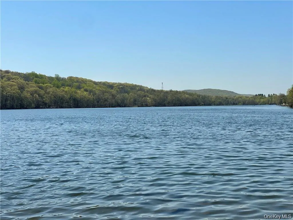 19 Lake Avenue Monroe NY 10950