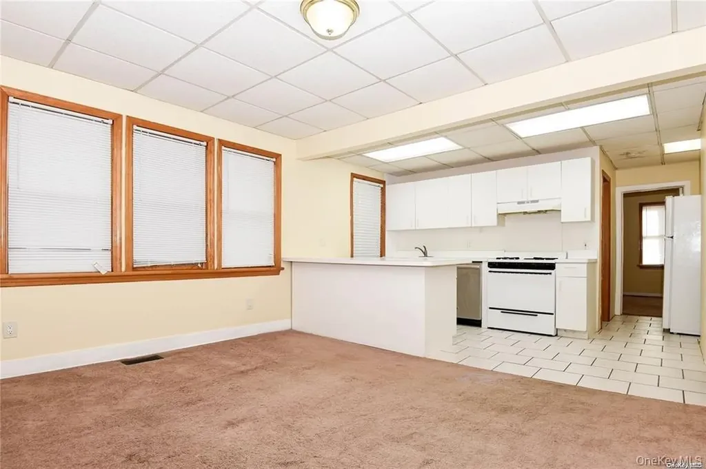 51 Thorman Avenue Hicksville NY 11801