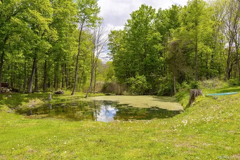 175 Nevis Road Tivoli NY 12583