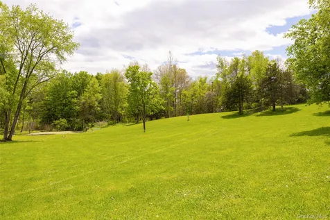 175 Nevis Road Tivoli NY 12583