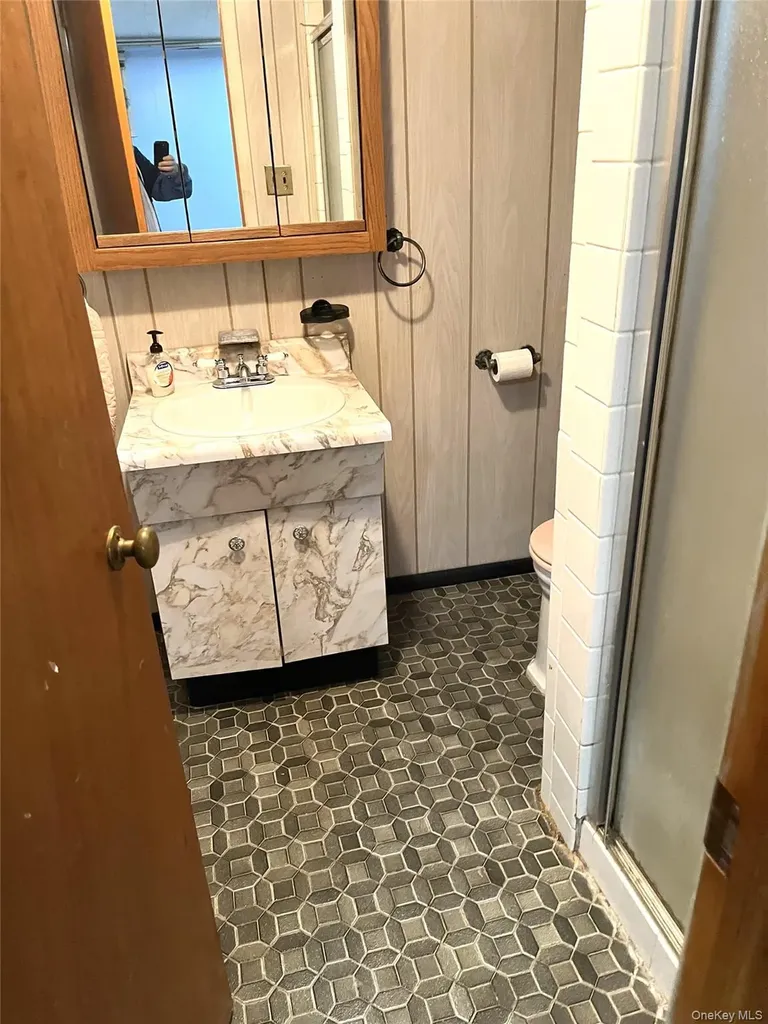 12 Lenore Avenue Hicksville NY 11801