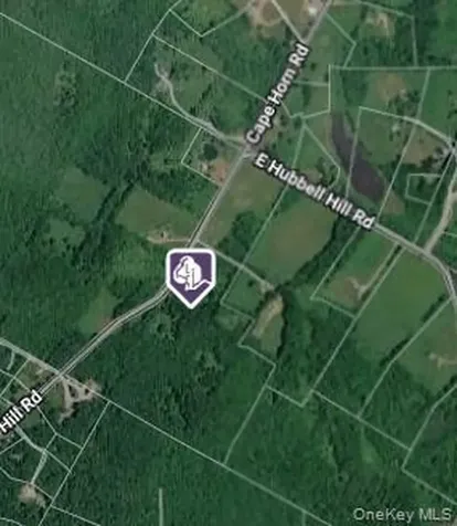 Hubbell Hill Road Margaretville NY 12455