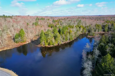 Tbd Hilltop Road Monticello NY 12701