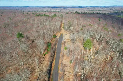 Tbd Hilltop Road Monticello NY 12701