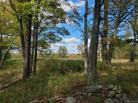 Tbd Hilltop Road Monticello NY 12701