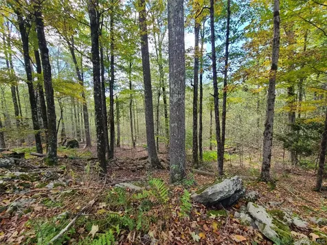 Tbd Hilltop Road Monticello NY 12701