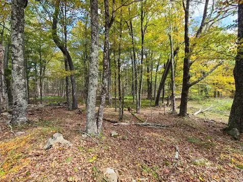 Tbd Hilltop Road Monticello NY 12701