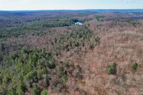 Tbd Hilltop Road Monticello NY 12701