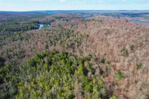 Tbd Hilltop Road Monticello NY 12701