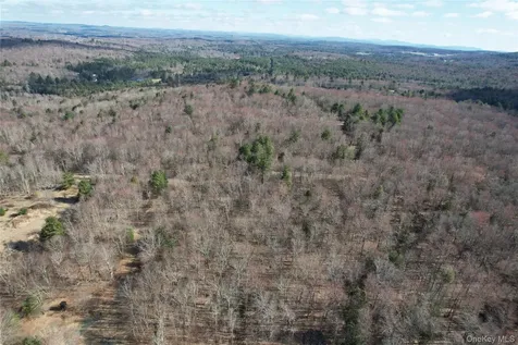 Tbd Hilltop Road Monticello NY 12701