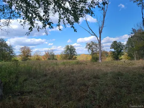 Tbd Hilltop Road Monticello NY 12701