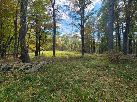 Tbd Hilltop Road Monticello NY 12701