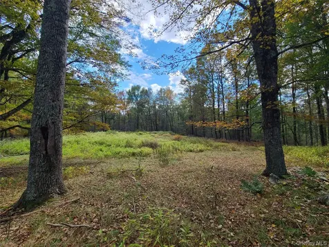 Tbd Hilltop Road Monticello NY 12701