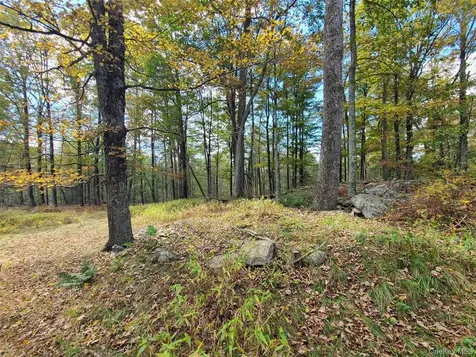 Tbd Hilltop Road Monticello NY 12701