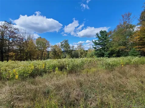 118 Hilltop Road Monticello NY 12701