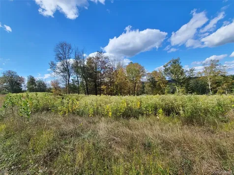 118 Hilltop Road Monticello NY 12701