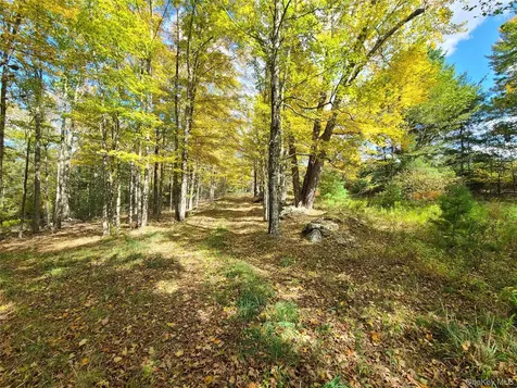 118 Hilltop Road Monticello NY 12701