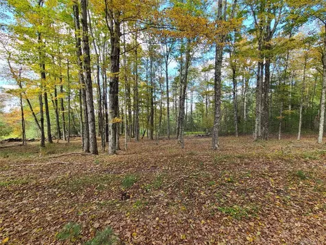 118 Hilltop Road Monticello NY 12701