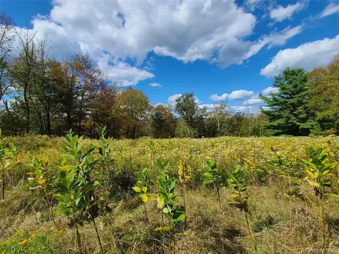 118 Hilltop Road Monticello NY 12701