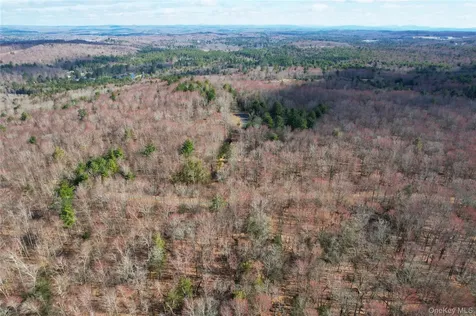 118 Hilltop Road Monticello NY 12701