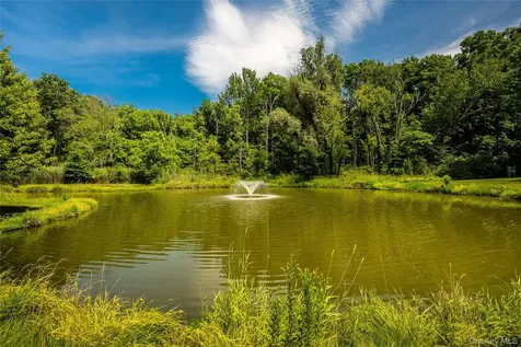 21 Pond Drive W Rhinebeck NY 12572