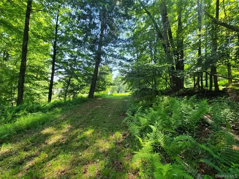 3 Martin Lane Mongaup Valley NY 12762