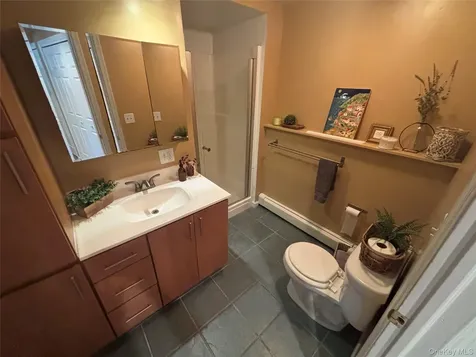 23 Hankin Loop Poughkeepsie NY 12601