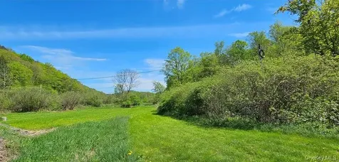9003 County Highway 28 Long Eddy NY 12760