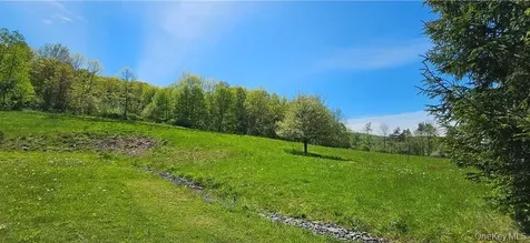 9003 County Highway 28 Long Eddy NY 12760