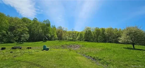 9003 County Highway 28 Long Eddy NY 12760