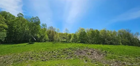 9003 County Highway 28 Long Eddy NY 12760