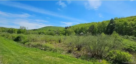 9003 County Highway 28 Long Eddy NY 12760