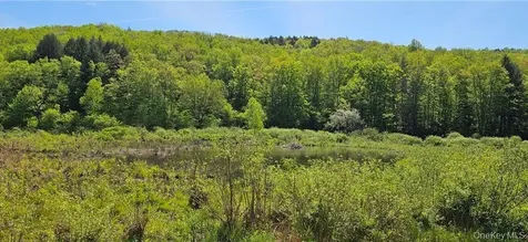 9003 County Highway 28 Long Eddy NY 12760
