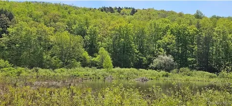 9003 County Highway 28 Long Eddy NY 12760