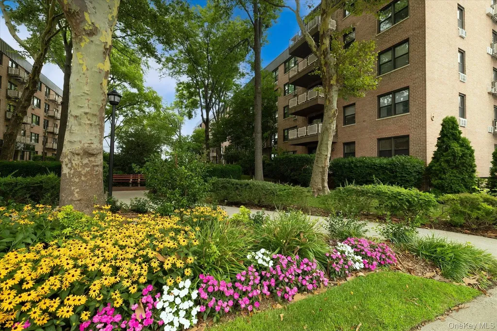 6 Birchwood Court Mineola NY 11501