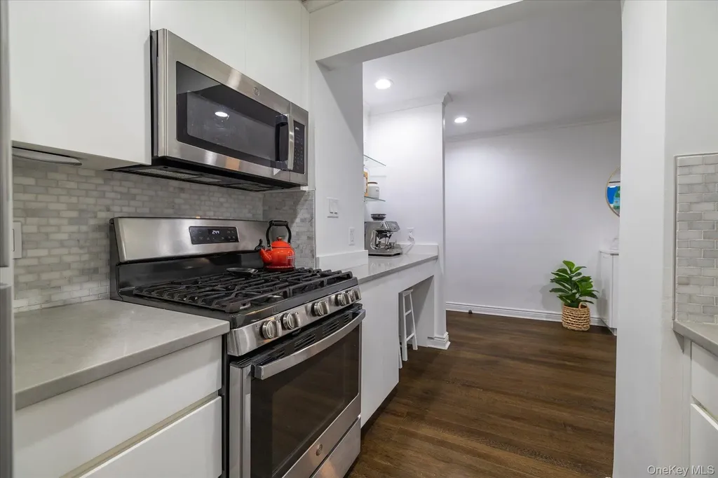 6 Birchwood Court Mineola NY 11501