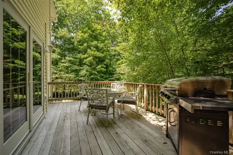 26 E Forest Trail Holmes NY 12531
