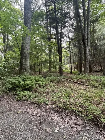 276 E Hill Road Austerlitz NY 12017