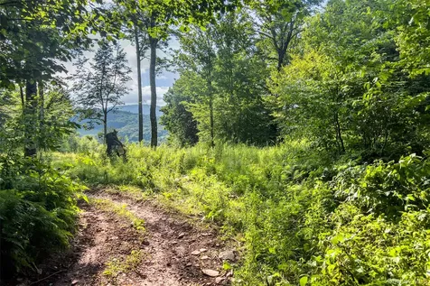1534 Brownell Road Bloomville NY 13739