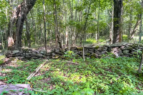 1534 Brownell Road Bloomville NY 13739