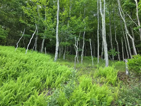 Tbd Timberwolf Road W Liberty NY 12754
