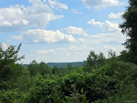 Tbd Timberwolf Road W Liberty NY 12754