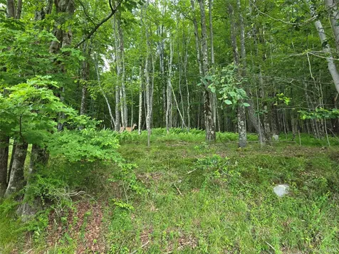 Tbd Timberwolf Road W Liberty NY 12754