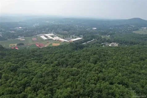 Tbd Timberwolf Road W Liberty NY 12754